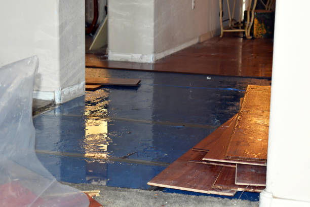Professional Basement Water Removal technician working in Holly, MI